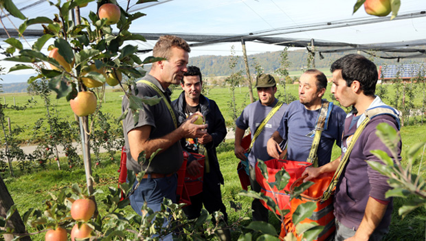 Goldkiss Weiterbildung