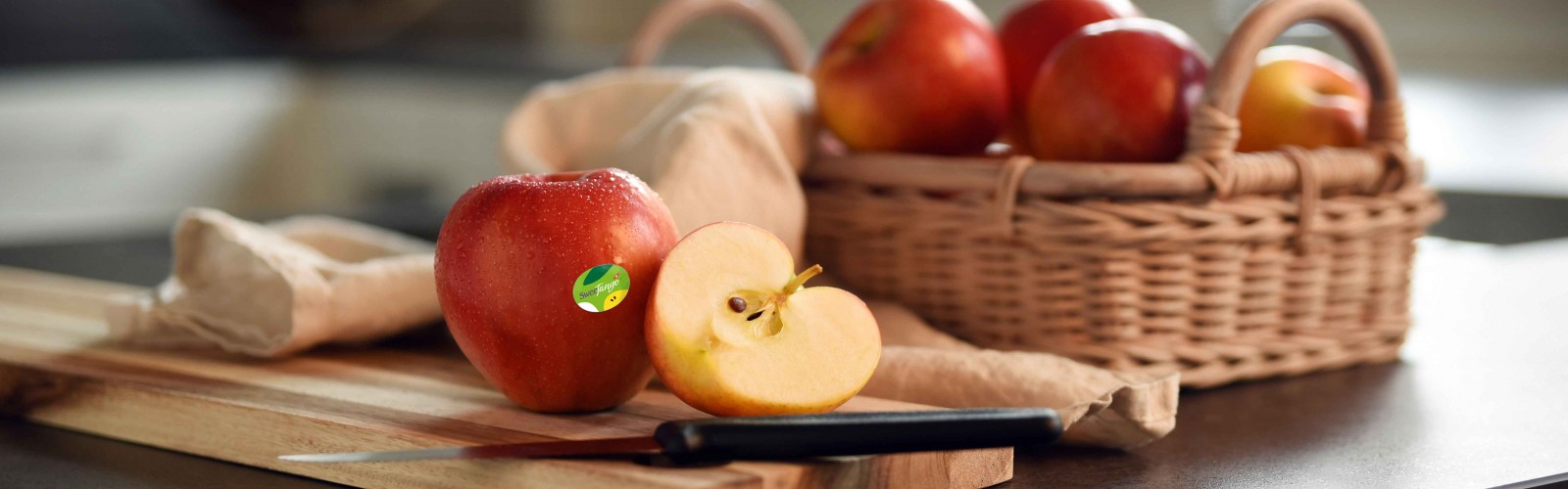 Headerbild Geiser agro.com